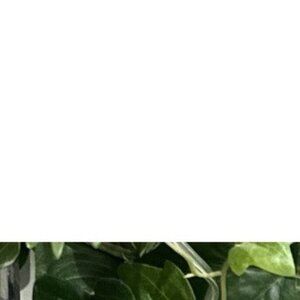 Brooks Caldera 7 Shoes Womens Size 8.5 Gray Sneakers Trail Running Athletic